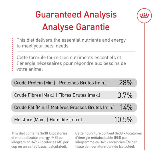 Nourriture s&egrave;che nutrition sant&eacute; et taille grand pour chiots Image NaN
