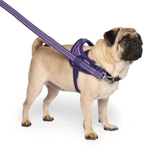 Redirect Harness for Dogs Image NaN