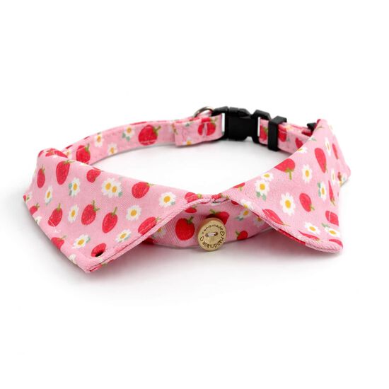 Collier style chemise habill&eacute;e pour chiens Image NaN