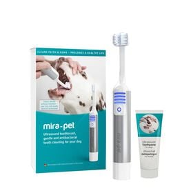 Toothbrush and toothpaste for dogs, starter kit