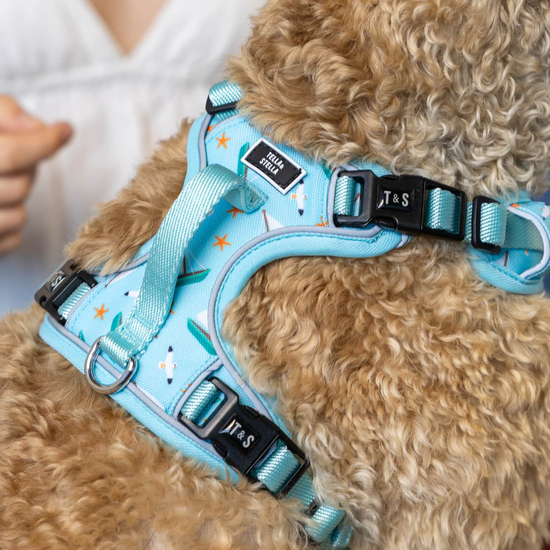 Harnais robuste avec poign&eacute;e pour chiens Image NaN