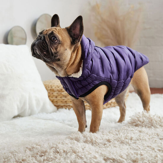 Cloud Parka for Dogs Image NaN