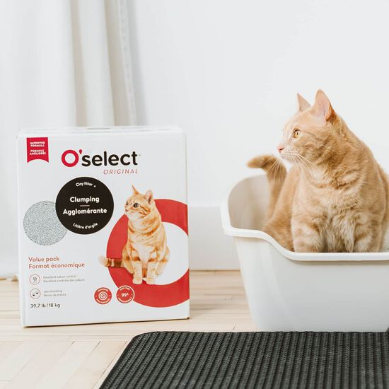 Clumping Clay Litter, 18 kg Image NaN