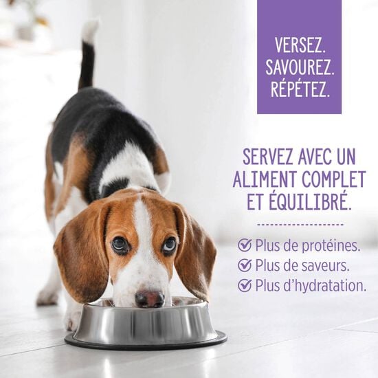 Garniture Style maison bol de poulet et quinoa pour chiens, 152 g Image NaN