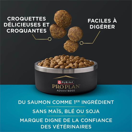 Nourriture s&egrave;che AdvantEDGE Soutien+ digestif au saumon et farine d'avoine pour chiens, 1,59 kg Image NaN