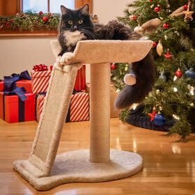 Poteau à gratter avec griffoir incliné