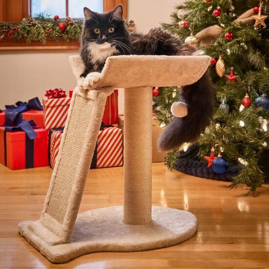 Poteau à gratter avec griffoir incliné Image NaN