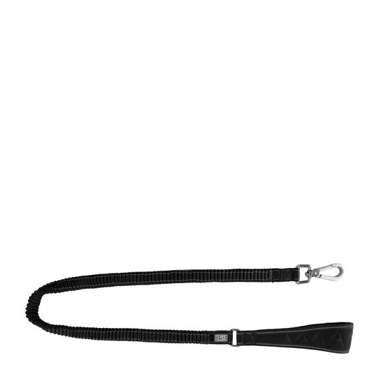 Bungee Dog Leash, black Image NaN