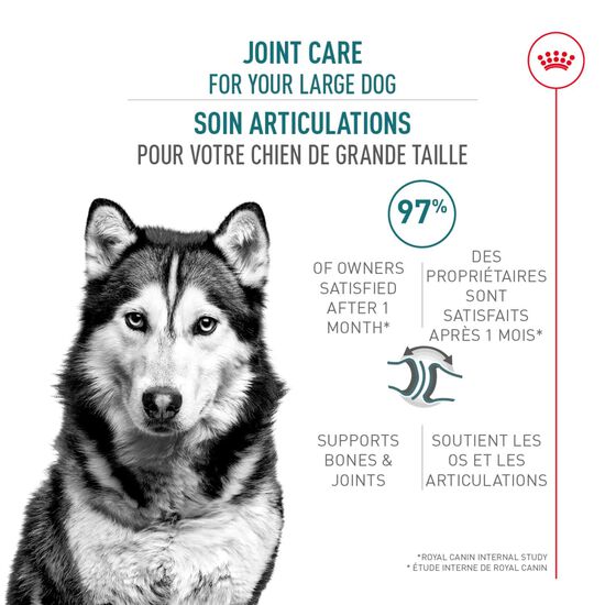 Formule soins des articulations pour chien adulte de grande race Image NaN
