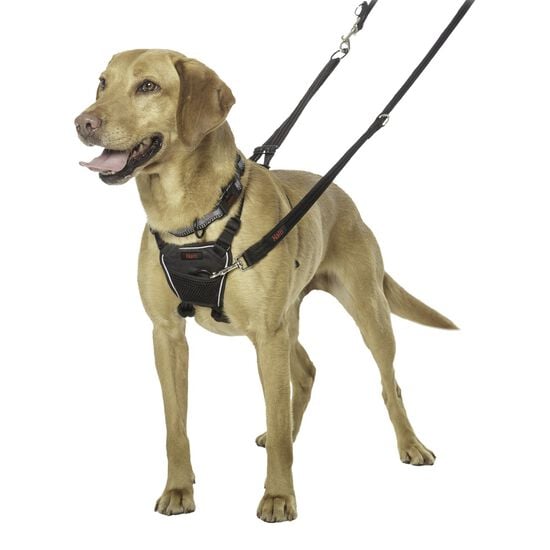 No Pull harness for dogs Image NaN