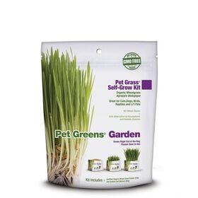 Self-grow organic wheatgrass for pets