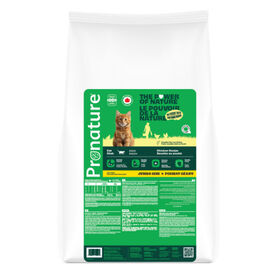 Chicken Recipe Dry Food for Adult Cats, 10 kg