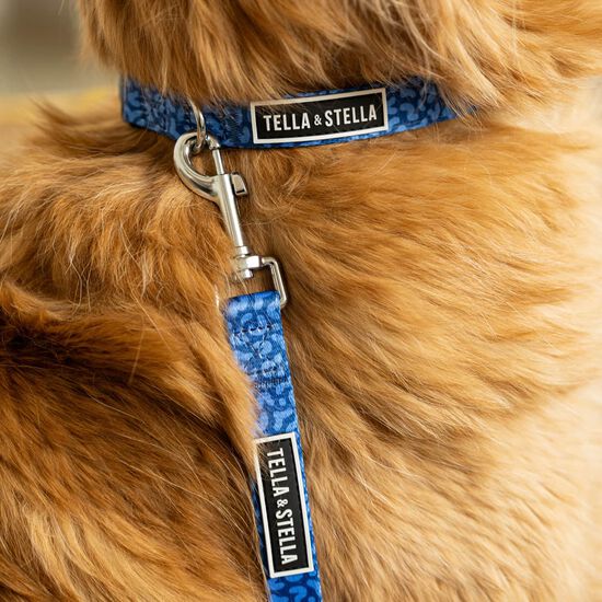Collier r&eacute;glable pour chiens Image NaN