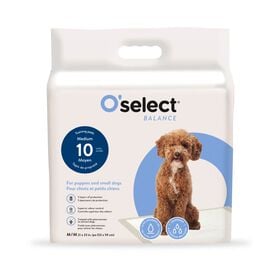 Training Pads for Dogs and Puppies, 10 un