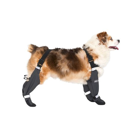 Reflective Suspender Boots for Dogs Image NaN