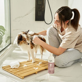 Shed Control Shampoo for Dogs, 475 ml