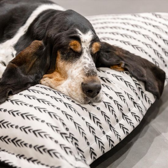 Lakewood Cloud Pillow Image NaN