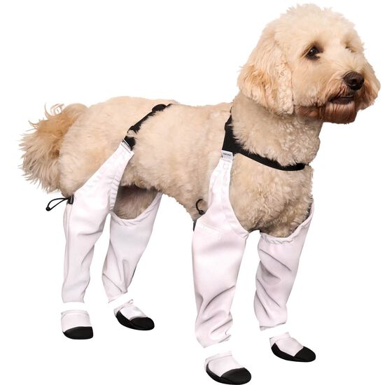 Bottes &agrave; bretelles r&eacute;fl&eacute;chissantes pour chiens Image 9.0