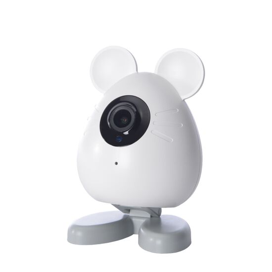 PIXI Smart Mouse Camera Image NaN