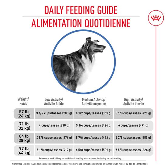 Nourriture sèche formule nutrition soins minceur pour chien adultes de grande taille Image NaN