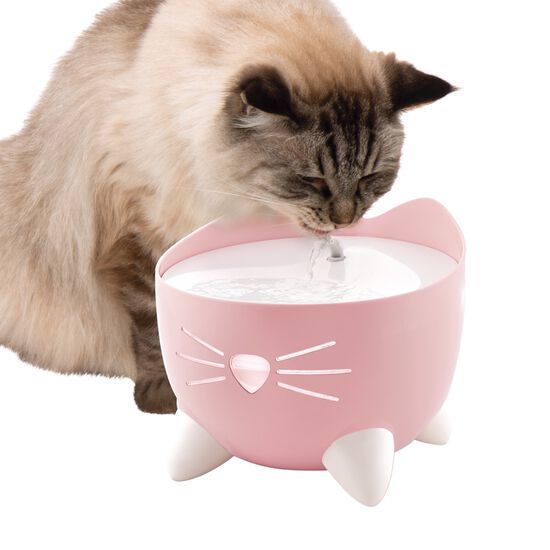 Abreuvoir Pixi pour chats, rose Image NaN