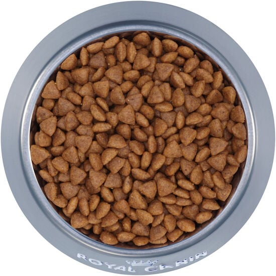 X-Small Puppy Dry Puppy Food Image NaN
