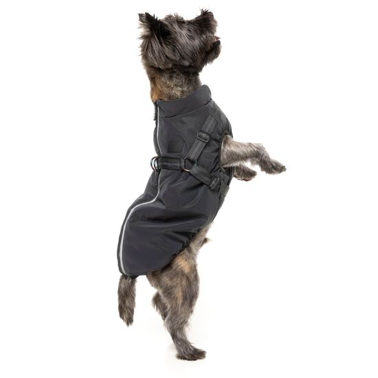 Veste flash r&eacute;fl&eacute;chissante pour chiens Image NaN