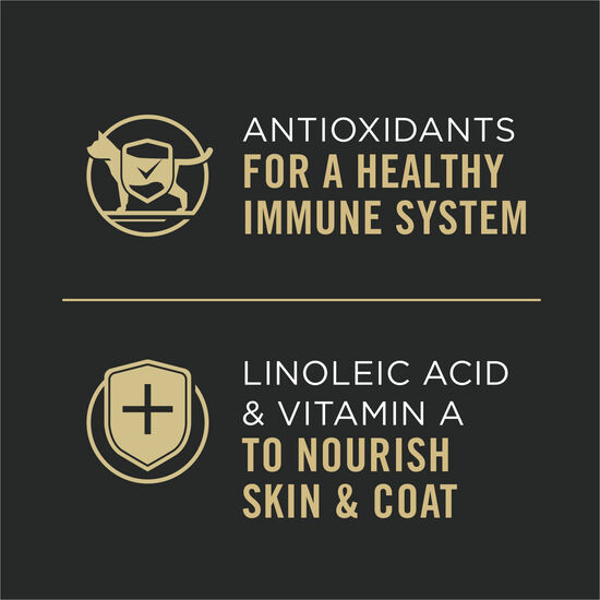 Complete Essentials Favourites Entrée Cat Food Variety Pack, 12 x 85 g Image NaN