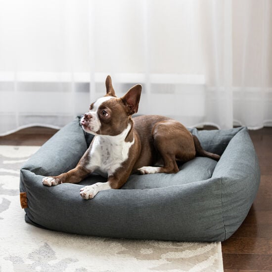 Cozy Bed for Pets Image NaN