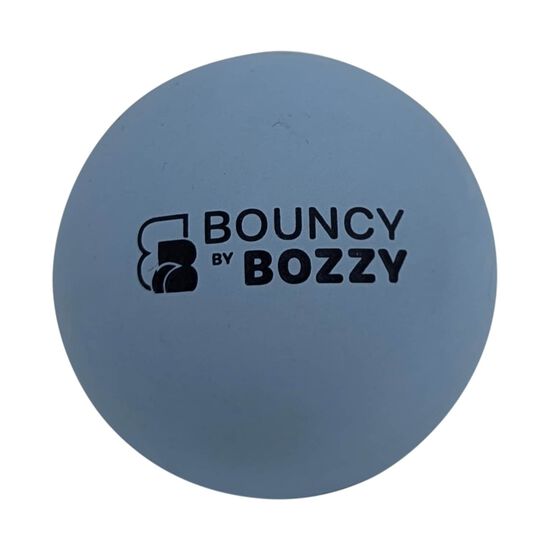 Bouncy Ball for Dogs Image NaN