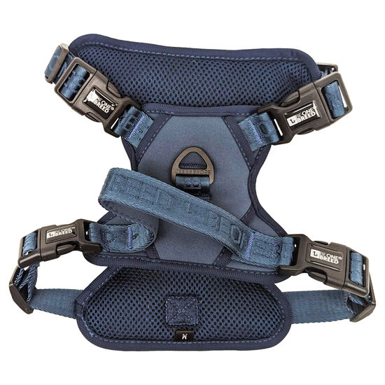 Embroidered Dog Harness, Teal Image NaN