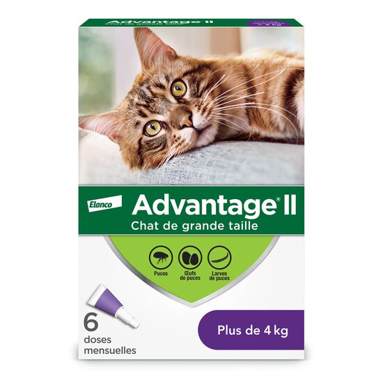 Topical flea protection for cat 4+ kg, 6 pack Image NaN