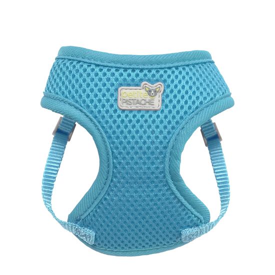 Harnais en filet pour très petit chien, bleu Image NaN