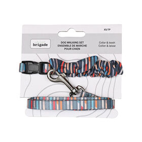 Mini Nylon Collar and Leash Set for Dogs