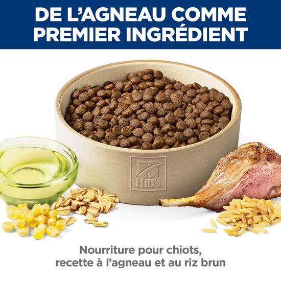Nourriture sèche à la farine d’agneau et au riz brun pour chiots, 11,3 kg Image NaN