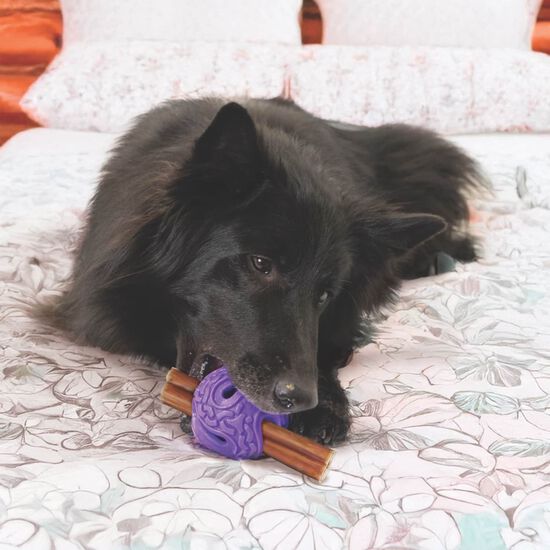 Squeezz&reg; Flex Ball for Dogs Image NaN