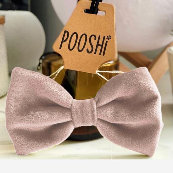Bow Tie for Cats and Dogs Image NaN