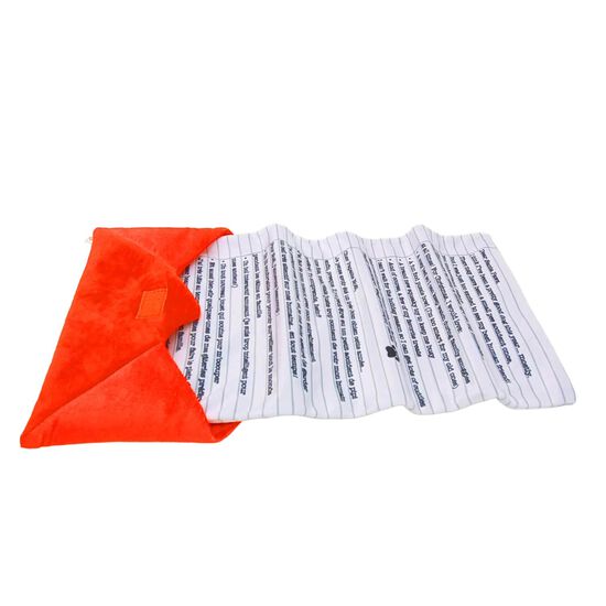 Peluche lettre au P&egrave;re No&euml;l pour chiens Image 3.0