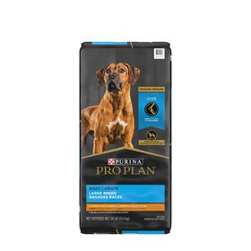Adult large breed chicken & rice dry dog food