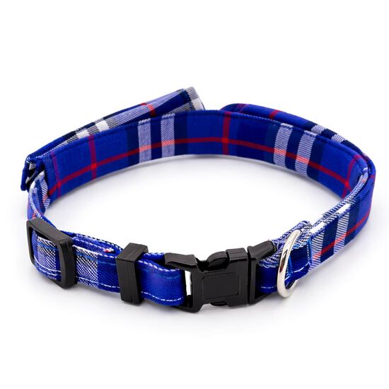 Collier style chemise habill&eacute;e pour chiens Image NaN