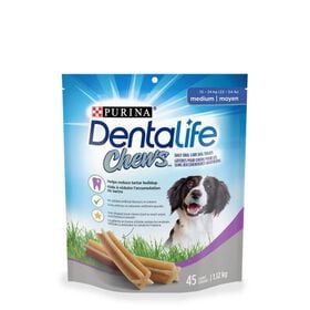 Dental care treat for dog