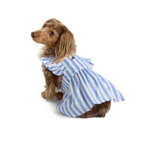 Striped Poplin Dress for Dogs Image NaN