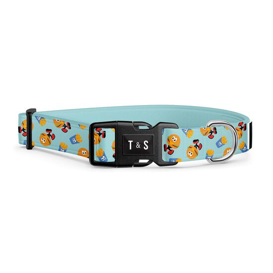 Collier r&eacute;glable pour chiens Image NaN