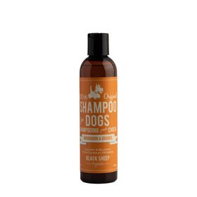 Shampoing pour chiens au parfum de mandarine et d'orange
