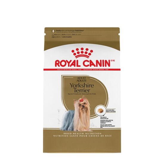 Yorkshire Terrier Adult Dry Dog Food Image NaN