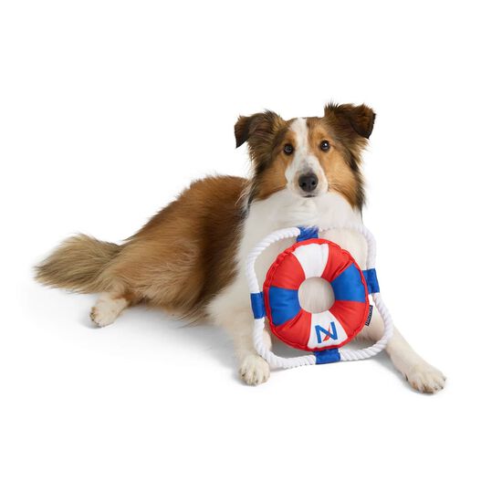Buoy Tug Toy with Rope Image NaN