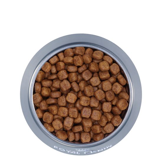 Nourriture sèche pour chiens Caniche adultes Image NaN