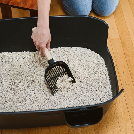 Liti&egrave;re naturelle agglom&eacute;rante &agrave; base de fibre de pois non-parfum&eacute;, 4,5 kg Image NaN