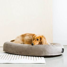 Lit moelleux en velours pour animaux