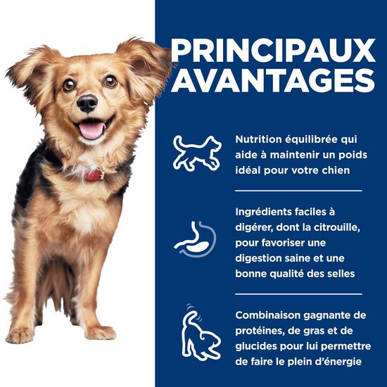 Perfect Digestion Small & Mini Chicken & Brown Rice Dry Food for Adult Dogs, 5.44 kg Image NaN